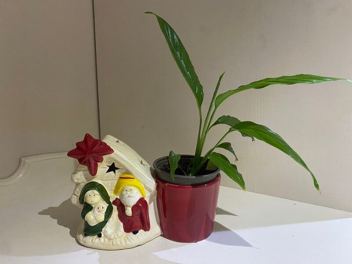 Christmas Decoration / Biblical Themed Glazed Ceramic Indoor Pot