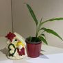 Christmas Decoration / Biblical Themed Glazed Ceramic Indoor Pot Image 3