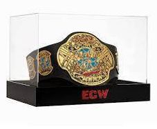 Official WWE ECW Championship Title Deluxe Display Case and Stand (Brand New & Sealed in Box)
