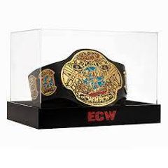 Official WWE ECW Championship Title Deluxe Display Case and Stand (Brand New & Sealed in Box)