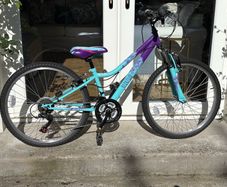 Apollo Vivid 6 gear Jr Mountain bike - Purple & Teal.