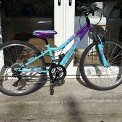 Apollo Vivid 6 gear Jr Mountain bike - Purple & Teal.