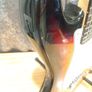 SX Stratocaster guitar and amp Image 7