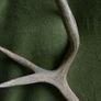 Deer Antlers (30" high) Image 3