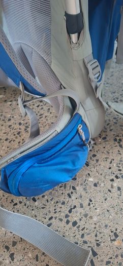 Thule saplings child carrier