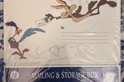 Brand New Vintage Looney Tunes Mailing and Storage Box