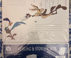 Brand New Vintage Looney Tunes Mailing and Storage Box