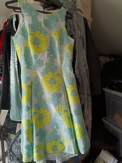 Ladies Dress size 10-12