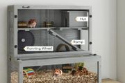 hamster cage