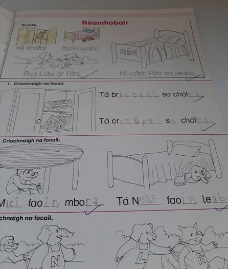 Fallons vintage Gaeilge books