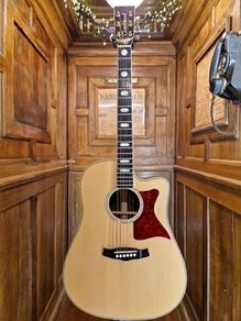 Tanglewood TW1000HSRCE