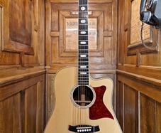 Tanglewood TW1000HSRCE