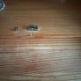 kitchen cabinet Image 4