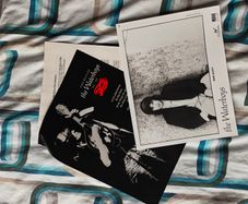 The Waterboys Press Release Promo Photo