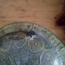 brass plates Image 4