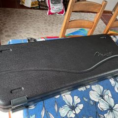 Fender deluxe Strat or Tele case