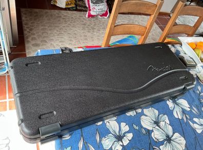 Fender deluxe Strat or Tele case