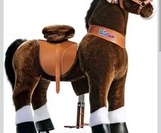 Kids ride on horse