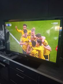 LG tv 48inch