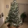 Christmas Tree Image 3