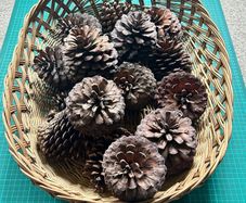 Basket of Large Cones