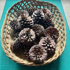 Basket of Large Cones