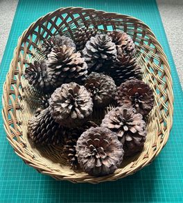 Basket of Large Cones