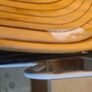 Fruit Bowl Image 4