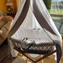 Clair de Lune Quality Moses Basket, Stand, Drape plus Brand New Sheets and Mattress. Newborn. Baby Essentials. Image 2