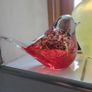 Murano Glass Birds (A Pair)... Image 4