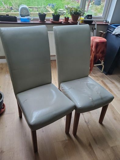 Free dining chairs