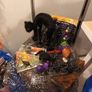 Halloween bundle Image 2