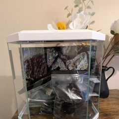 fish tank