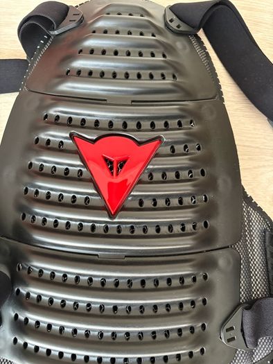Dainese Back Protector