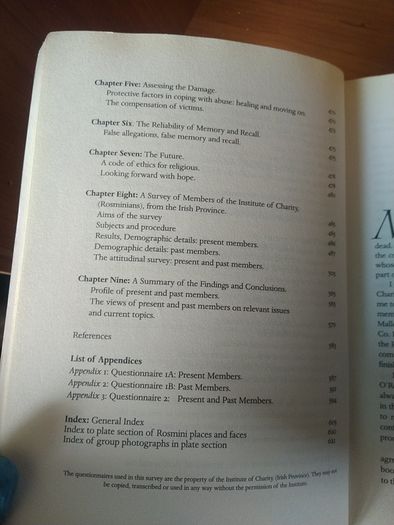 Rosminians: Their Irish Story