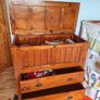 Chest Image 2