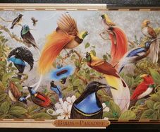 Birds of Paradise 1000 Piece Jigsaw Puzzle