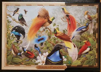 Birds of Paradise 1000 Piece Jigsaw Puzzle