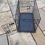 pet Image 3