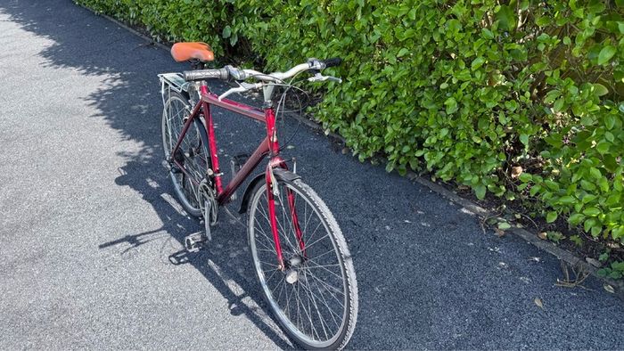 Raleigh bike 28"