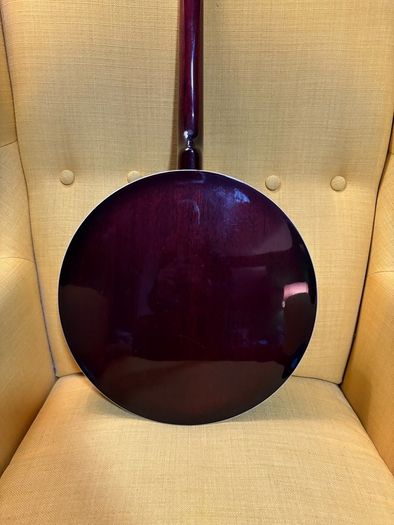 Samick Artist Series 4-string tenor banjo + soft case