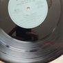Steve Earle 2LP - Shut Up And Die Like An Aviator Image 6