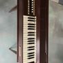 Rosedale Electric Chord Organ Image 3