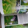 Great Gardens for Kids/Clare Matthews Image 6