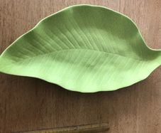 Vintage Leaf Dish