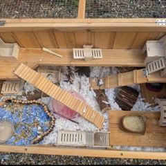 Large hamster cage + accessories + Robovski dwarf hamster