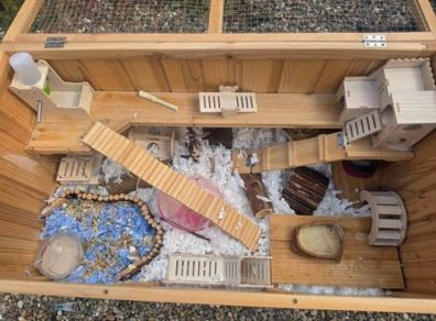 Large hamster cage + accessories + Robovski dwarf hamster
