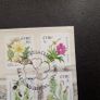 Ireland 2005.Wild Flowers series.FDC.6th Definitives.First Day Cover.FDC. Image 4