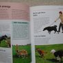What is my dog thinking,Gwen Bailey,Hardback book.books.non fictionPet behaviour book Image 8