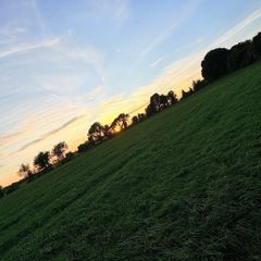 Bales of reseed